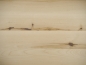 Preview: Worktop Tabletop Stair landing Birch Rustic 40x600x900 mm, untreated, with 2 wood slabs