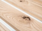 Preview: Lamellen Essen Rustiek Massief 24x80 mm, 2,1-2,5 m, Knutselhout Stroken