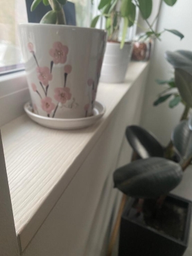 Window sill Solid Ash Hardwood with overhang Rustic grade 20 mm brushed chalked white oiled