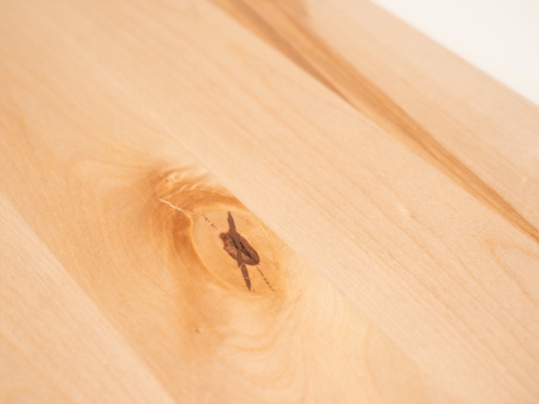 Traptrede Antisliprand Berken Rustiek 20mm Helder Gelakt