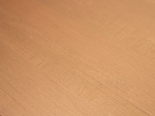 Marche d'escalier Hêtre massif Bois 20 mm, lamelle aboutée, bronze huilé