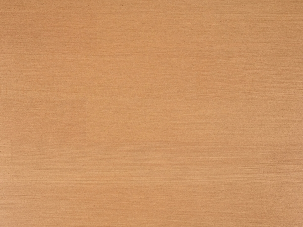 Marche d'escalier Hêtre massif Bois 20 mm, lamelle aboutée, bronze huilé