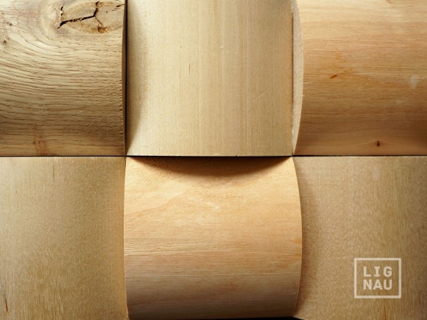 Wall panels: Ligat Oak Birch Alder roundwood 3D